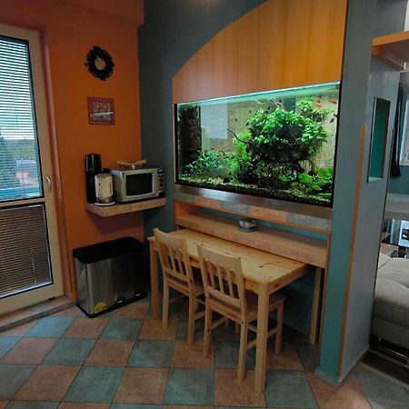 Suk Apartman 24 Сухдол-над-Лужницы Экстерьер фото